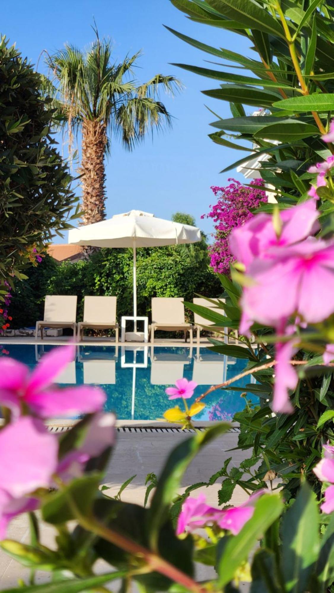 Amphora Hotel Kaş Eksteriør billede